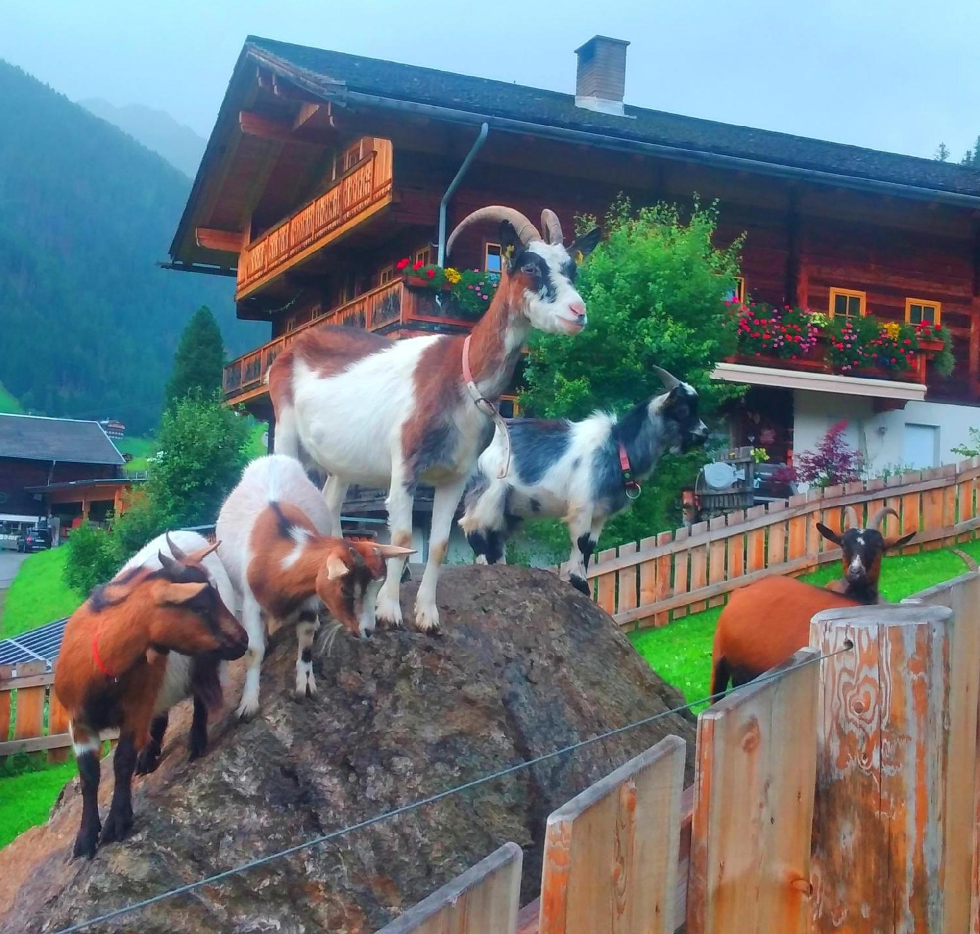 Ferienhaus Egger อินเนอร์ฟิลล์กราเท็น ภายนอก รูปภาพ